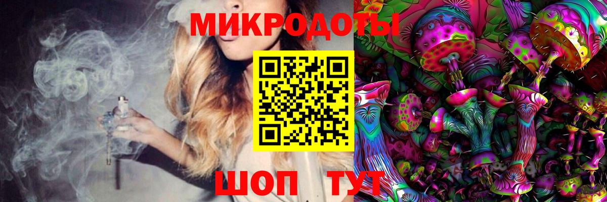 Галлюциногенные грибы Psilocybine cubensis  Галлюциногенные грибы мухоморы  Вход с VPN  что такое наркотик  Знаменск 