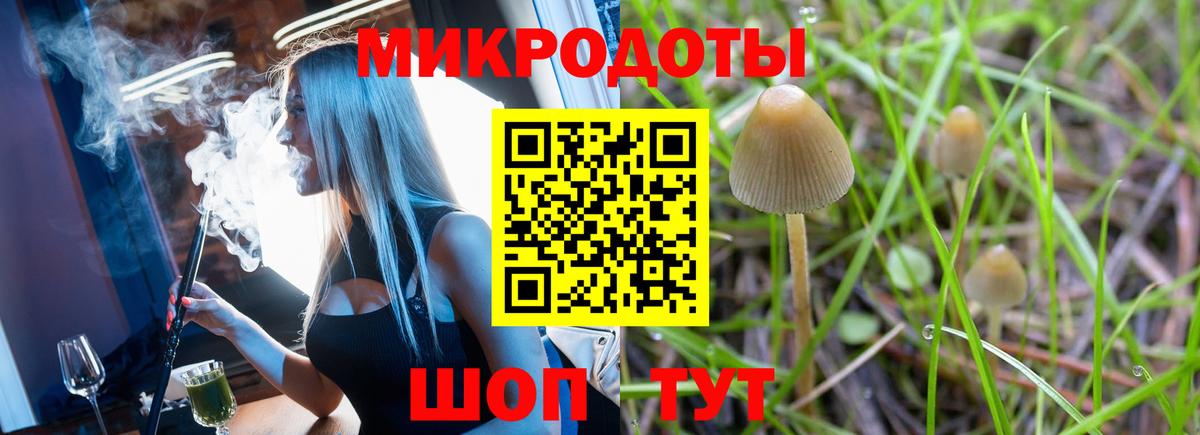 Галлюциногенные грибы ЛСД Знаменск