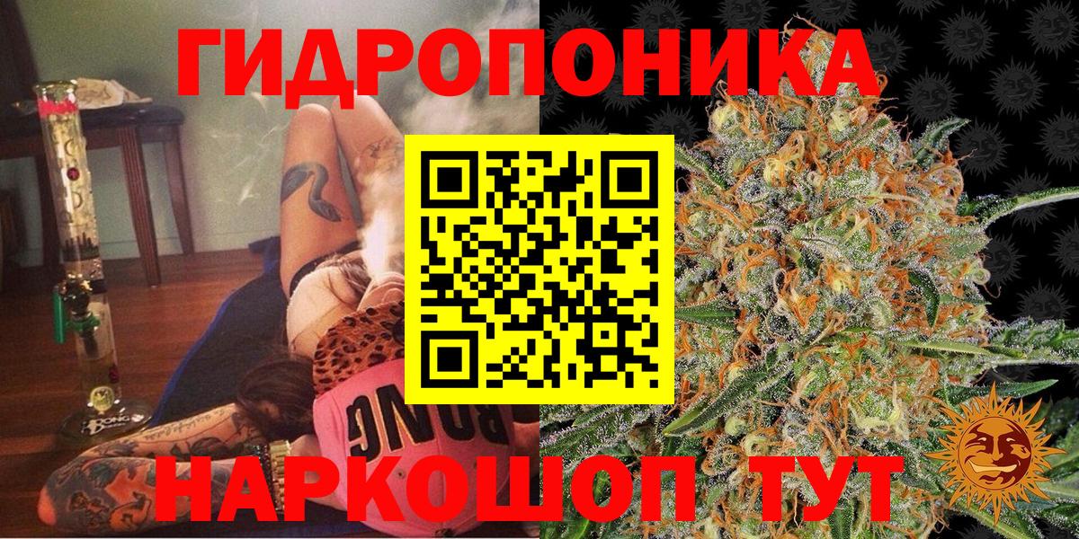 Каннабис план Знаменск